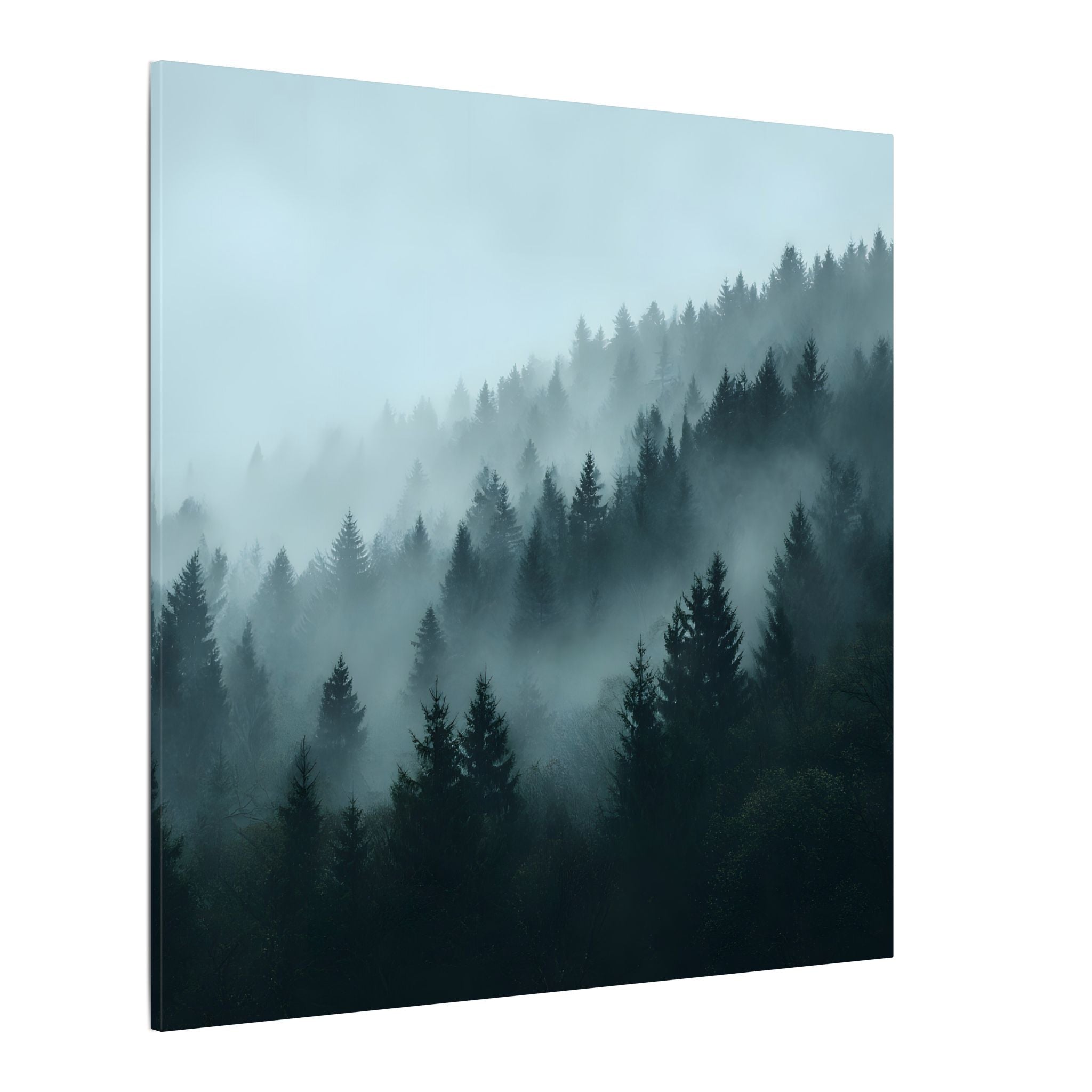 Misty Pine Forest