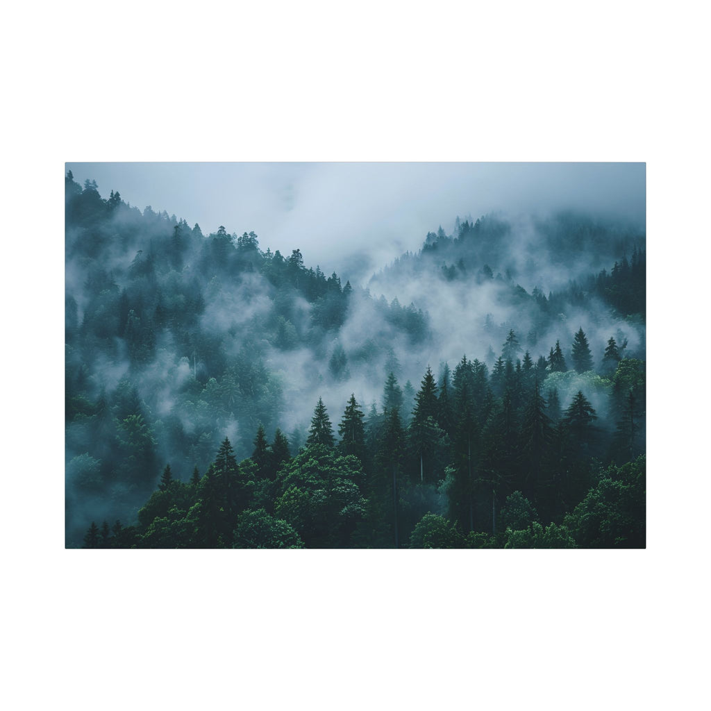 Misty Evergreen Forest
