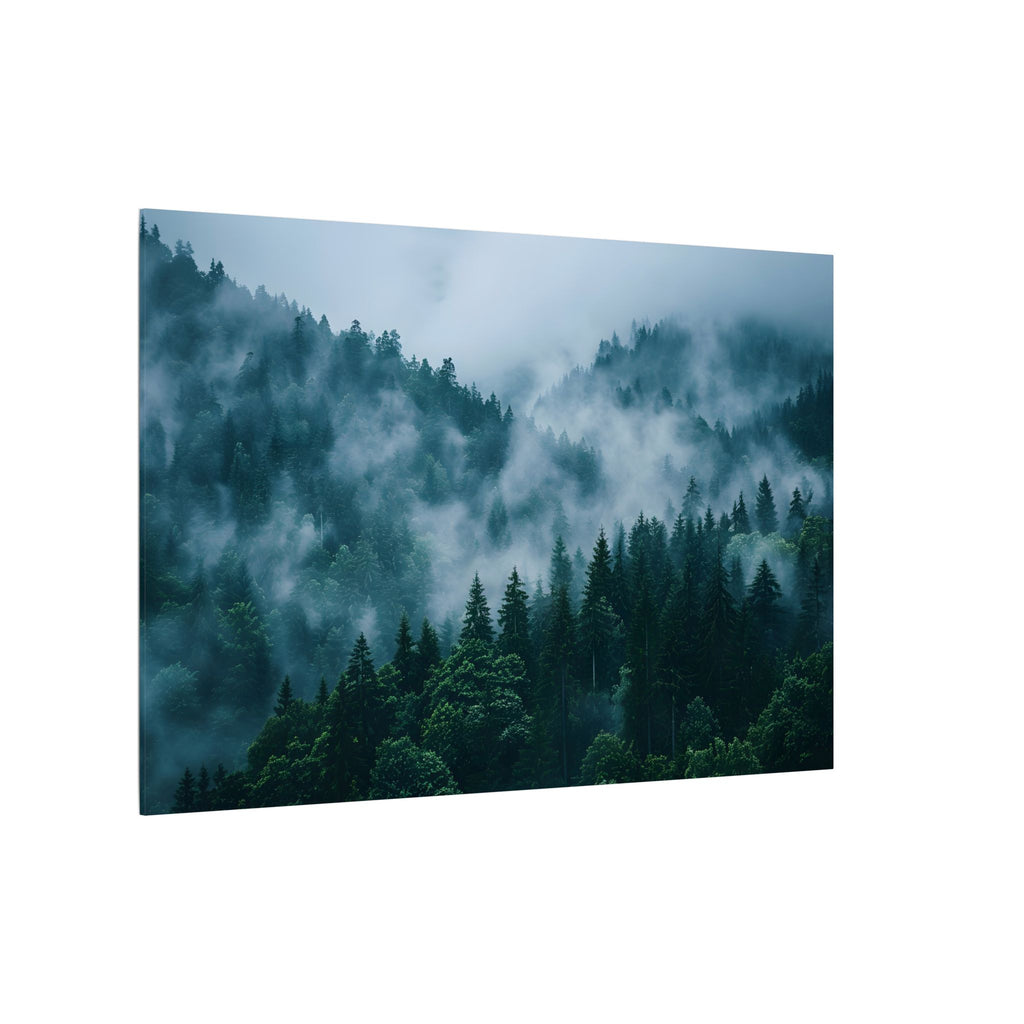 Misty Evergreen Forest