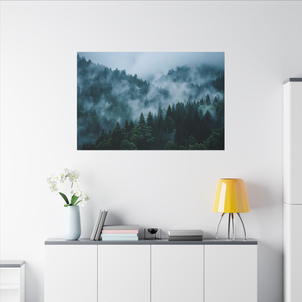 Misty Evergreen Forest