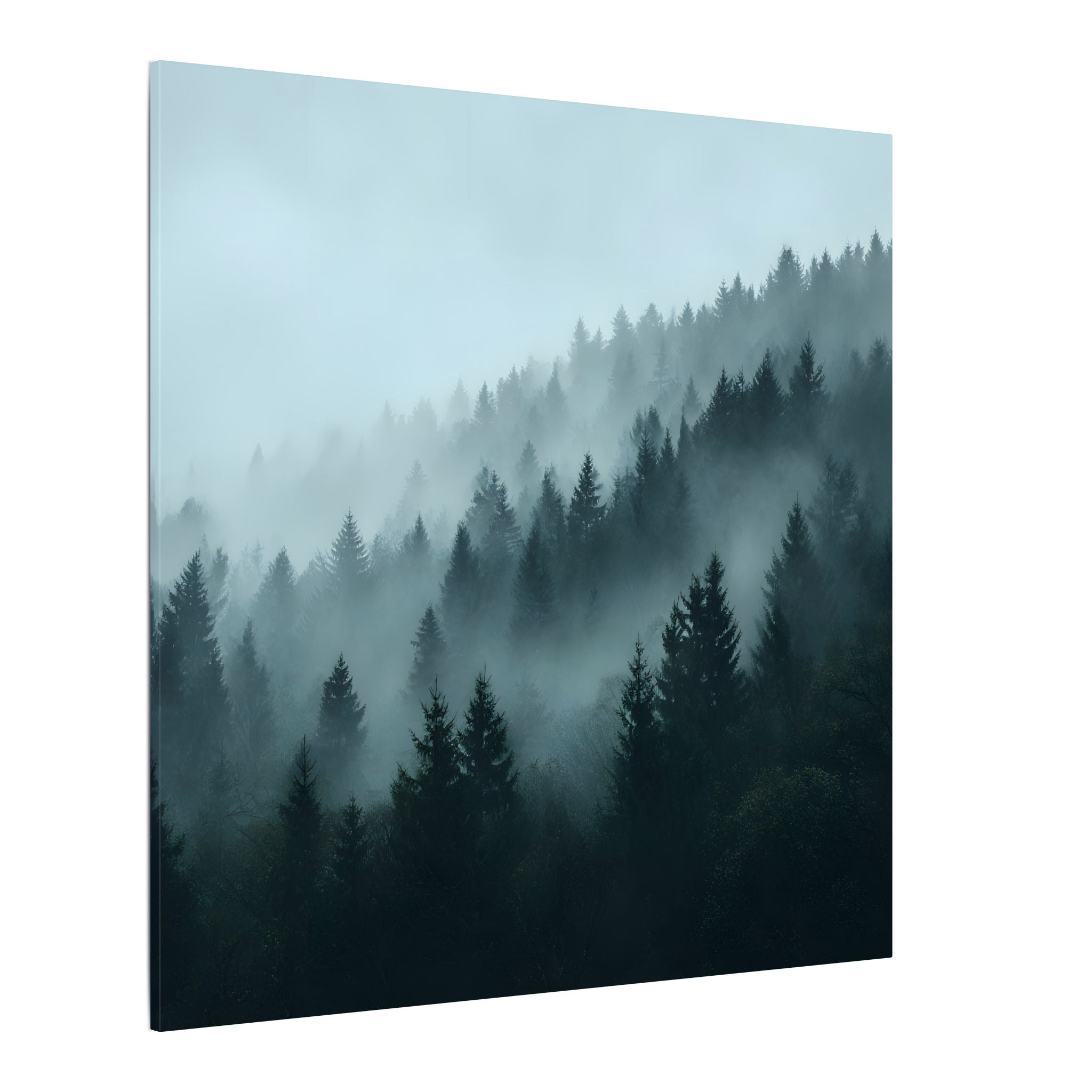 Misty Pine Forest