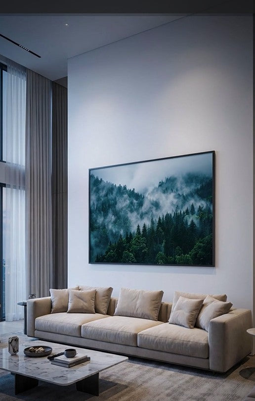 Misty Evergreen Forest