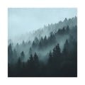 Misty Pine Forest